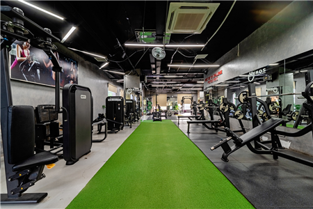Gym3