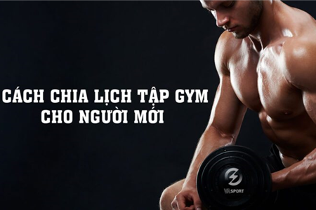 Tập Gym Như Thế Nào Để Phát Triển Cơ Bắp Tốt Nhất?