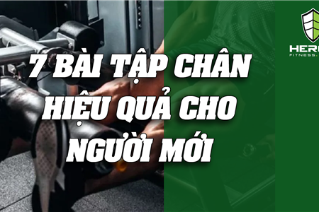 7 BÀI TẬP CHÂN CỰC KỲ HIỆU QUẢ CHO GYMER MỚI